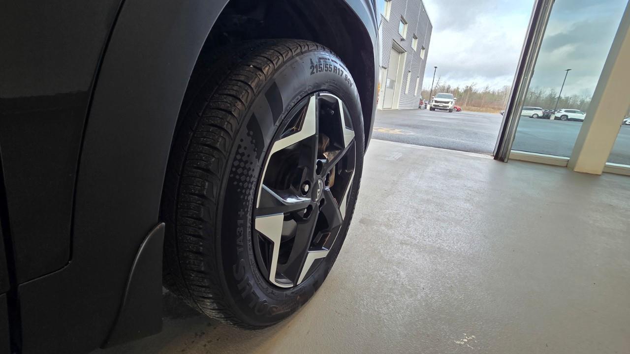 2024 Kia Seltos EX Premium 4dr All-Wheel Drive Photo