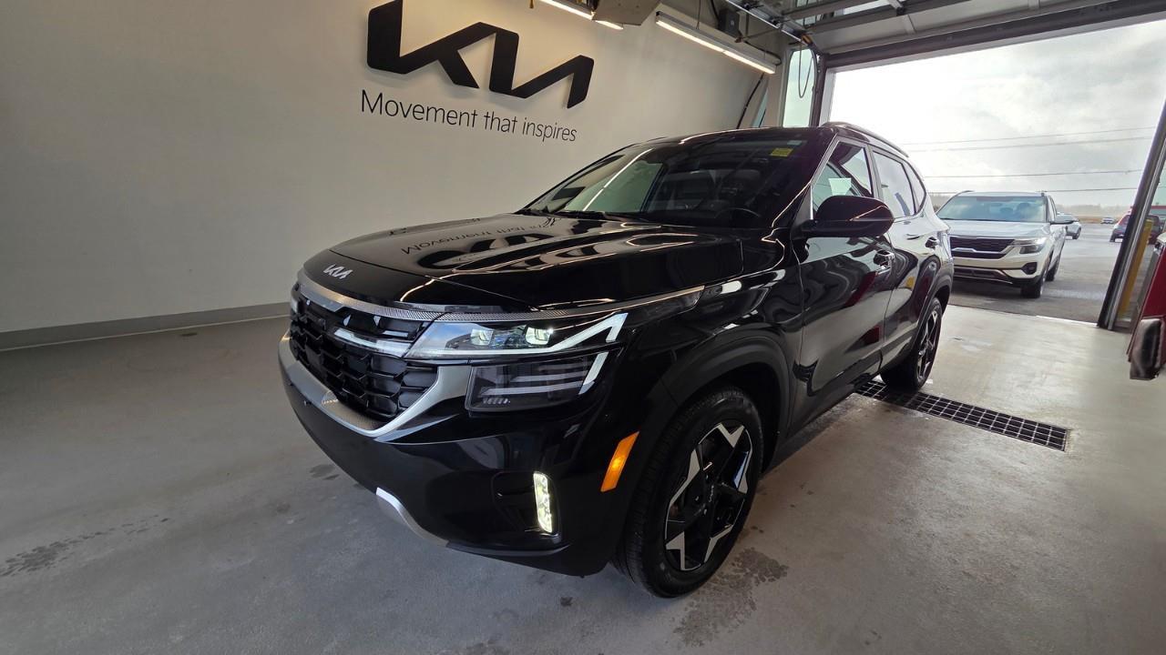 2024 Kia Seltos EX Premium 4dr All-Wheel Drive Photo