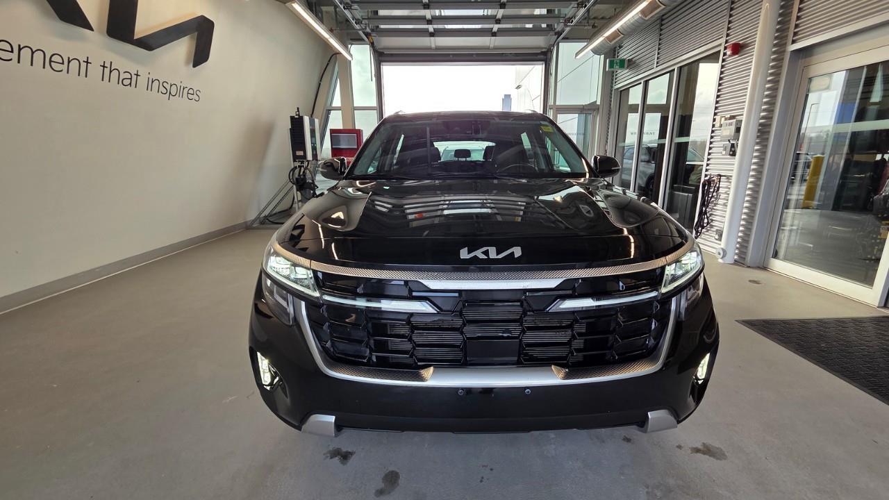 2024 Kia Seltos EX Premium 4dr All-Wheel Drive Photo