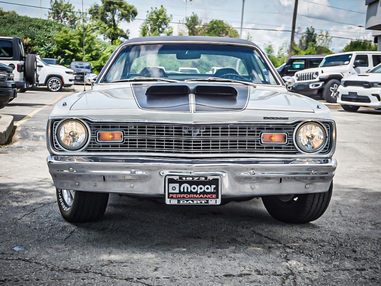 1973 Dodge Dart  Photo