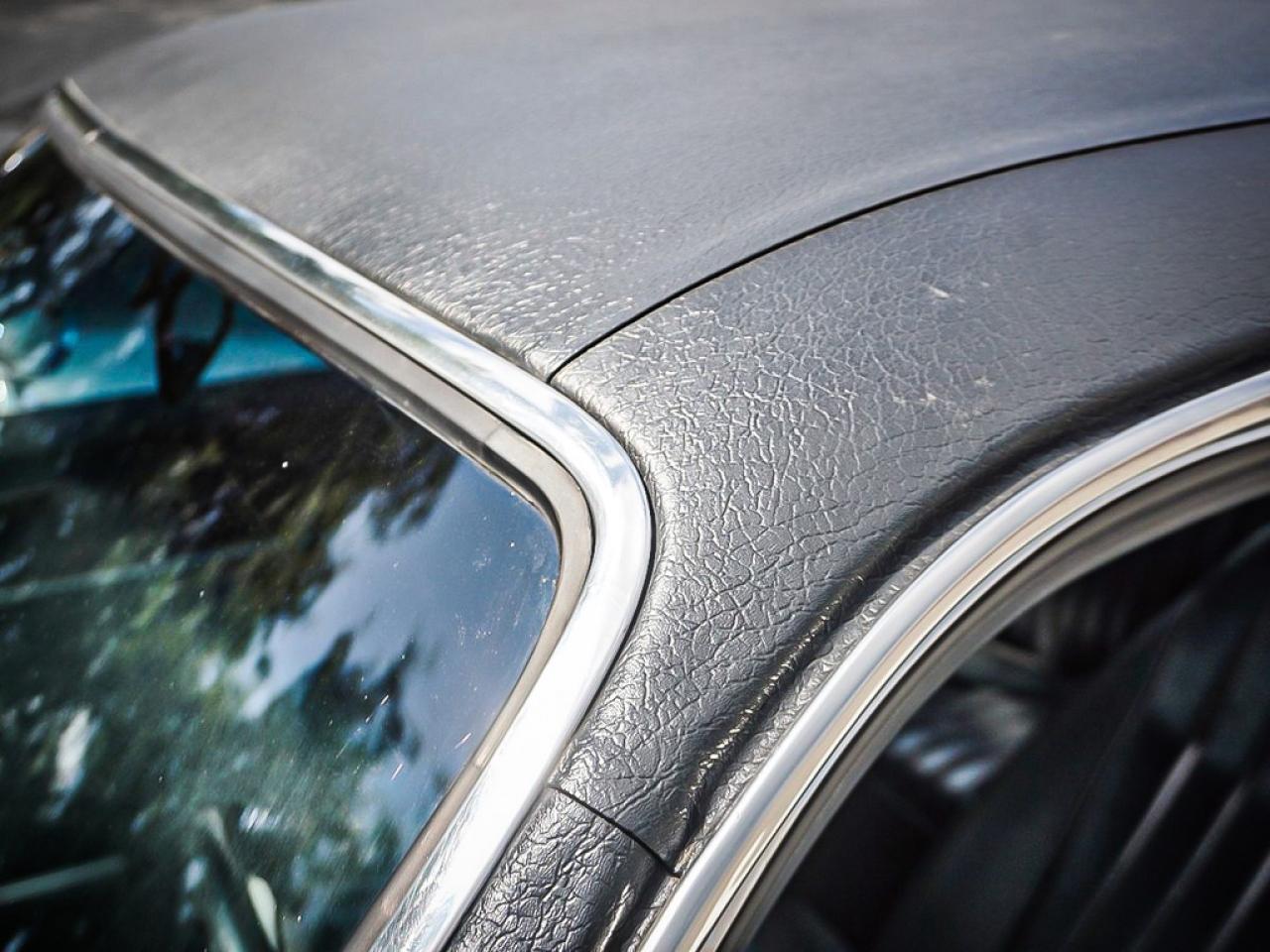 1973 Dodge Dart  Photo