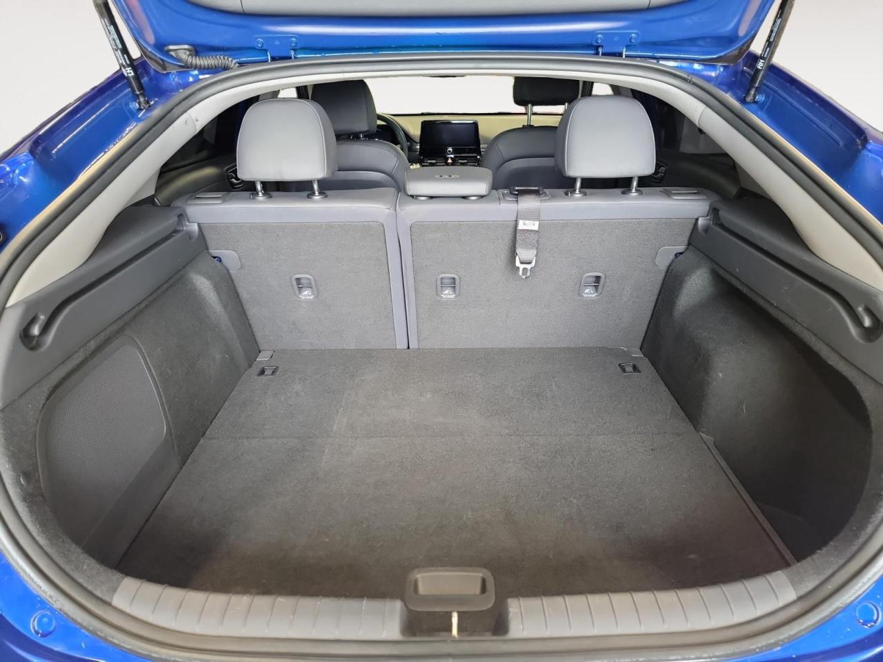 2021 Hyundai Ioniq EV Ultimate 4dr Hatchback Photo