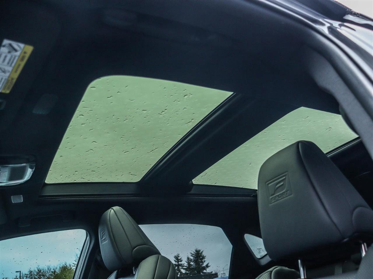 2024 Lexus NX 350 Base 4dr All-Wheel Drive Photo