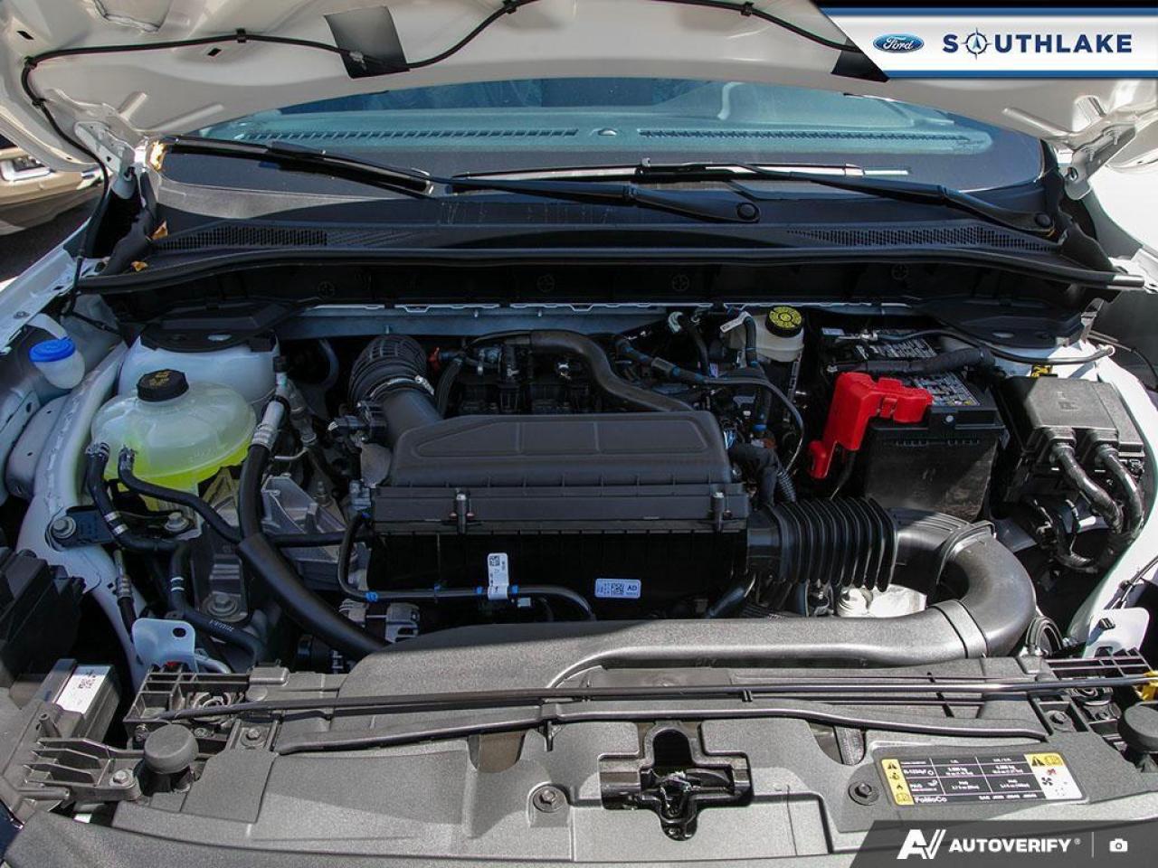 2025 Ford Escape ST-Line 4dr All-Wheel Drive Photo