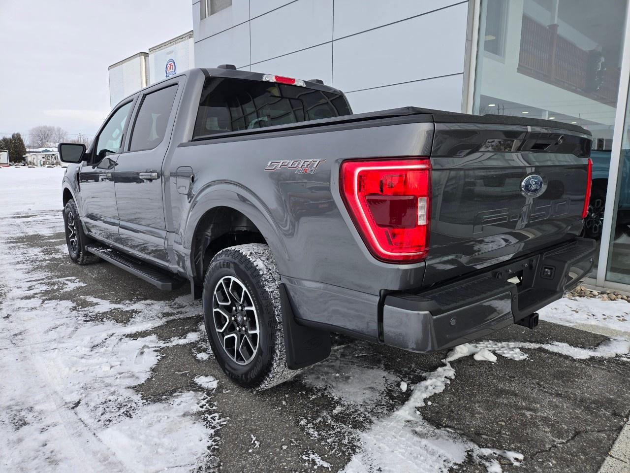 2023 Ford F-150 XLT 4WD SuperCrew 5.5' Box Photo