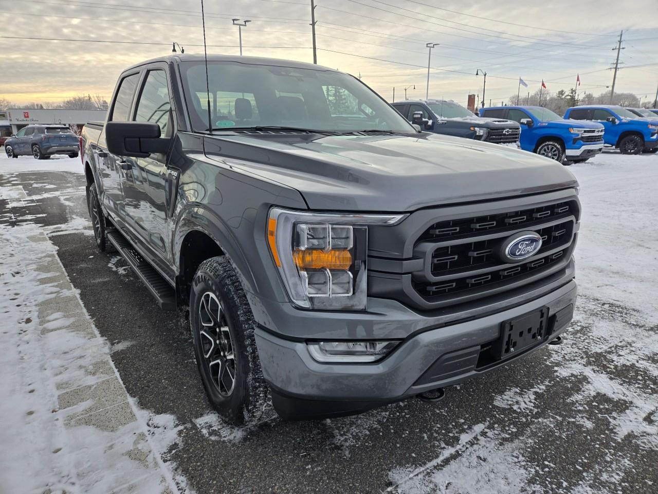 2023 Ford F-150 XLT 4WD SuperCrew 5.5' Box Photo4