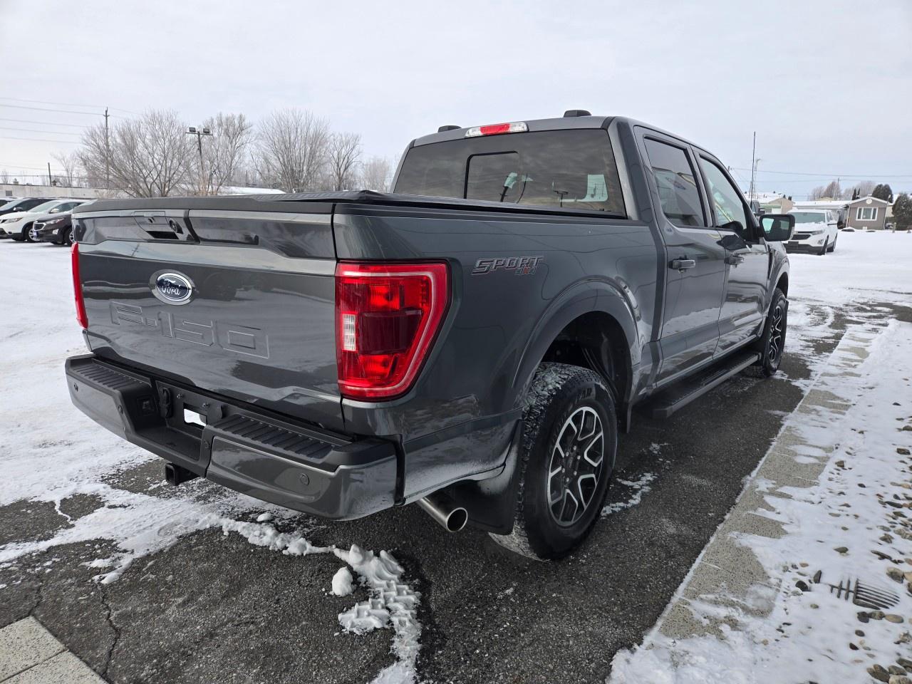 2023 Ford F-150 XLT 4WD SuperCrew 5.5' Box Photo