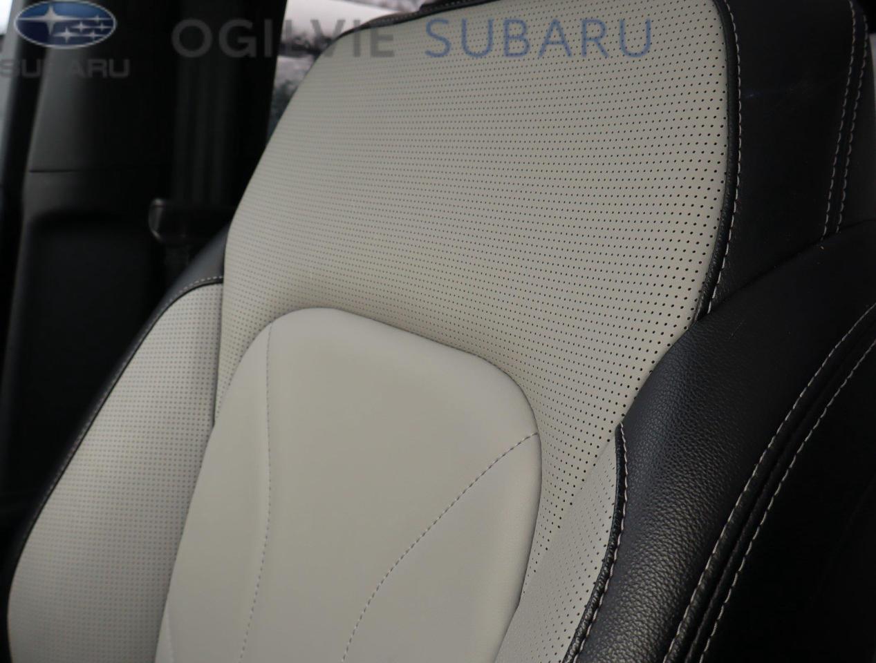 2025 Ford Escape PHEV 4dr Front-Wheel Drive Photo