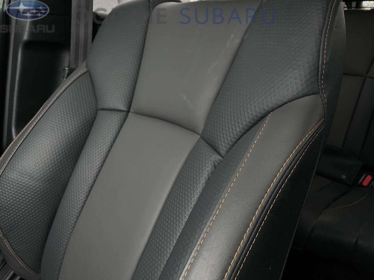 2024 Subaru Outback Wilderness 4dr All-Wheel Drive Photo4