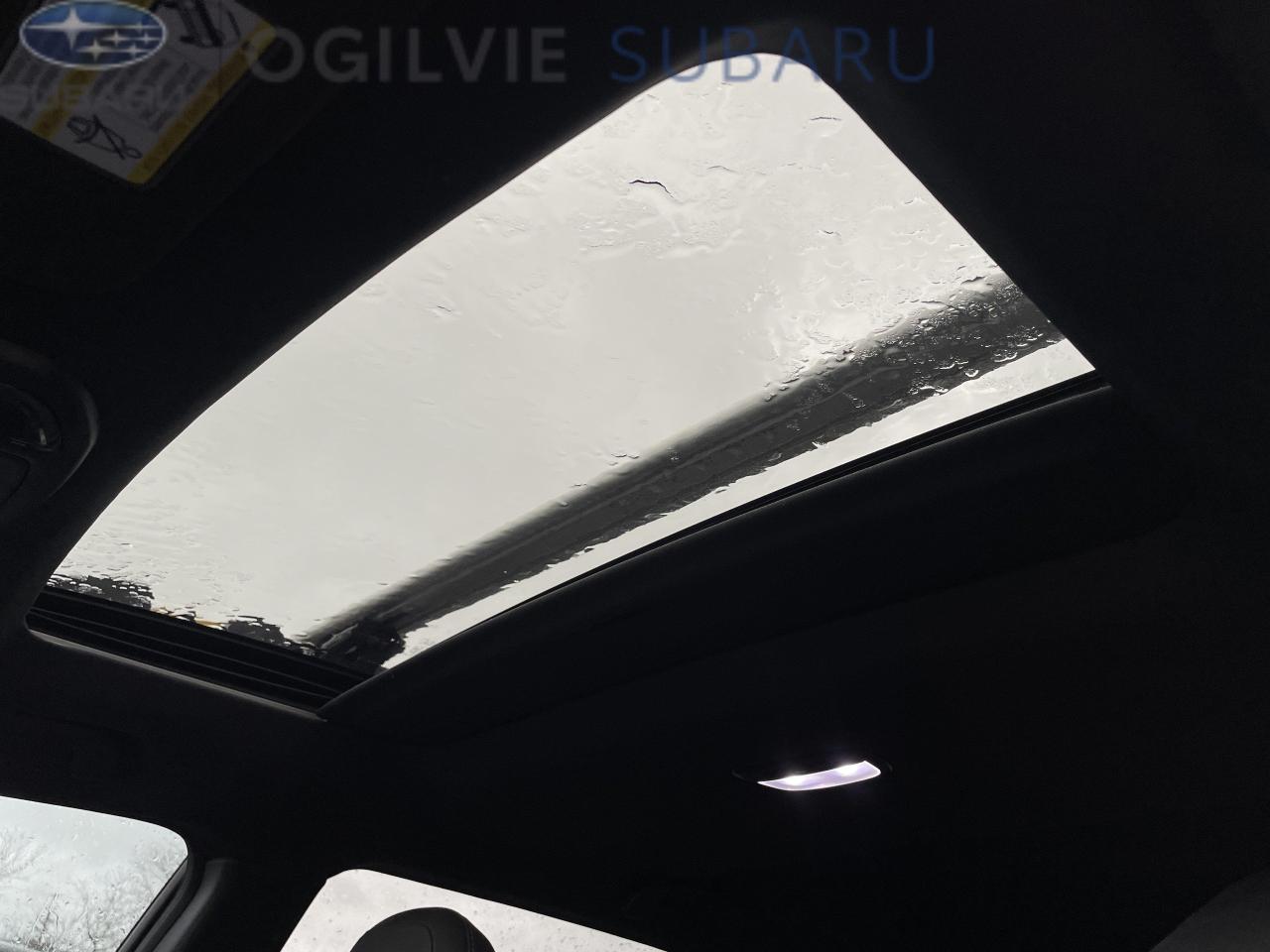 2024 Subaru Outback Wilderness 4dr All-Wheel Drive Photo