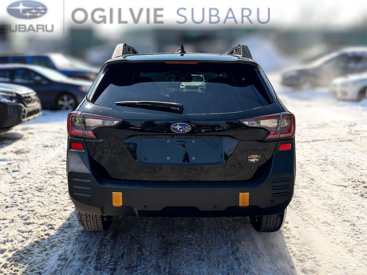 2024 Subaru Outback Wilderness 4dr All-Wheel Drive Photo