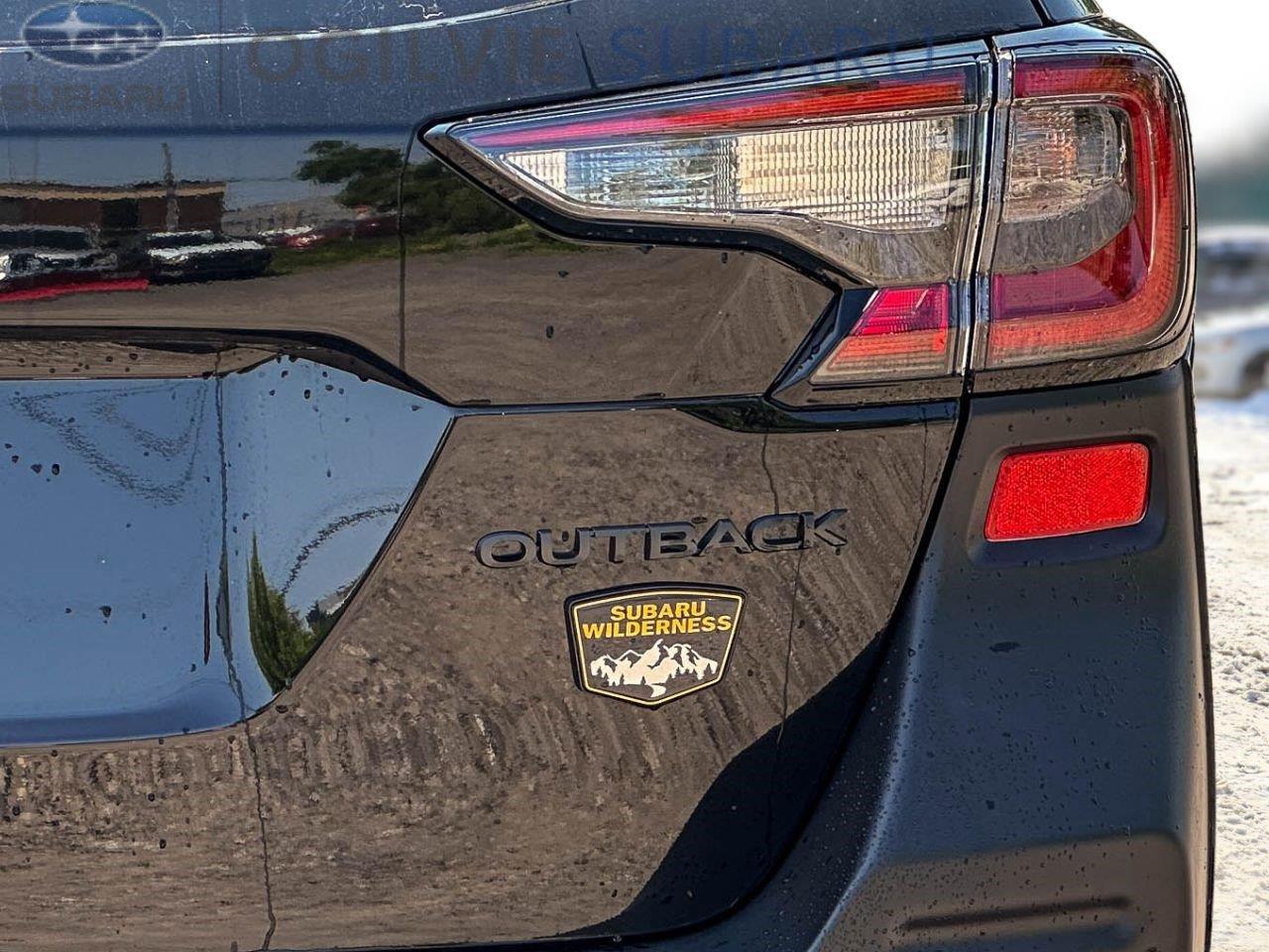 2024 Subaru Outback Wilderness 4dr All-Wheel Drive Photo