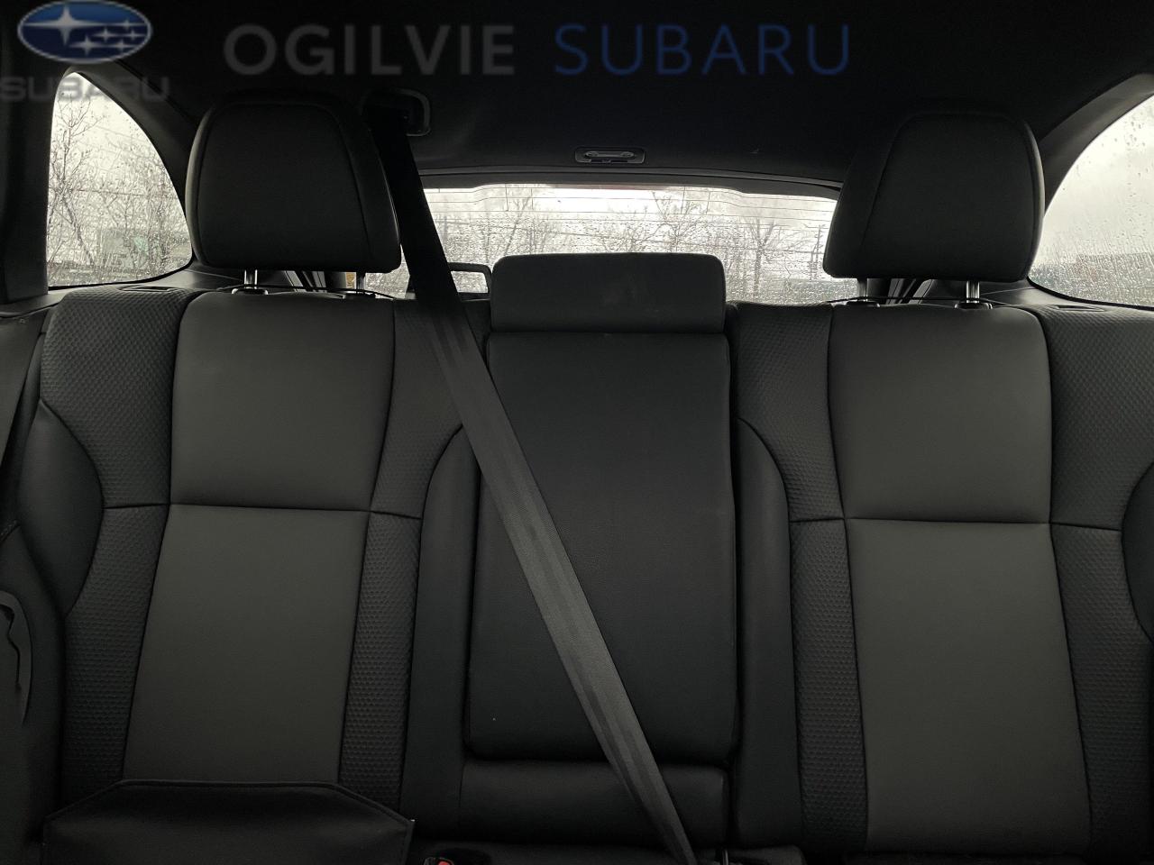 2024 Subaru Outback Wilderness 4dr All-Wheel Drive Photo