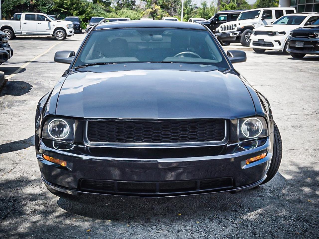 2008 Ford Mustang  Photo