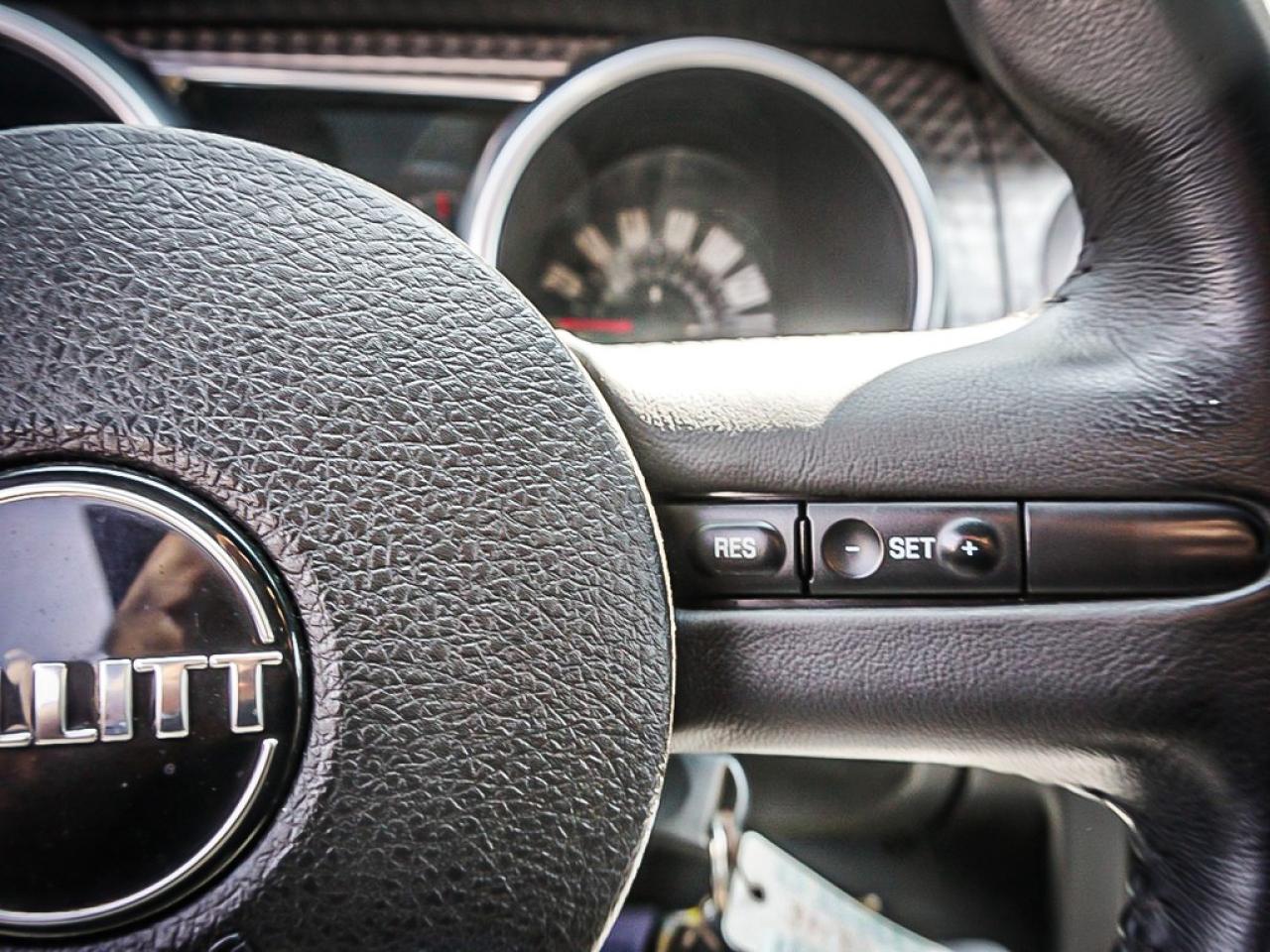 2008 Ford Mustang  Photo