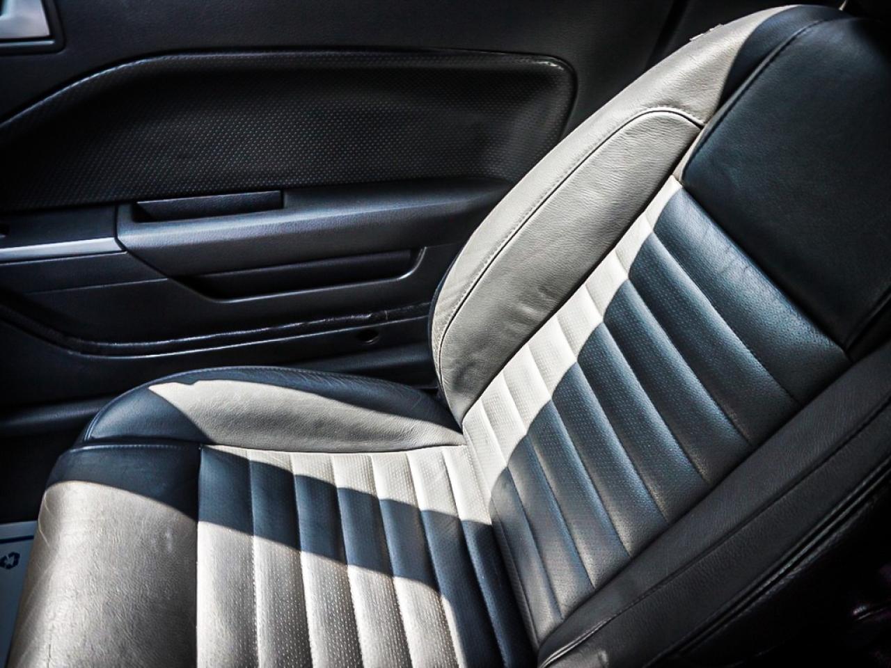 2008 Ford Mustang  Photo