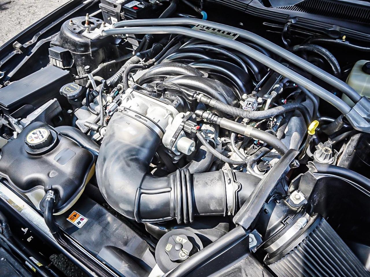 2008 Ford Mustang  Photo