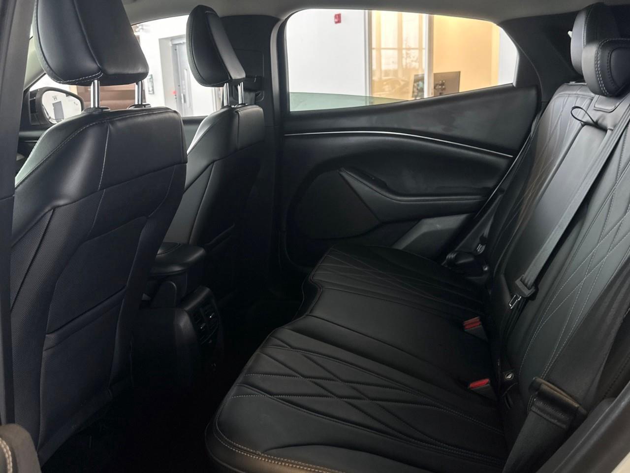 2021 Ford Mustang Mach-E California Route 1 4dr 4x2 Photo