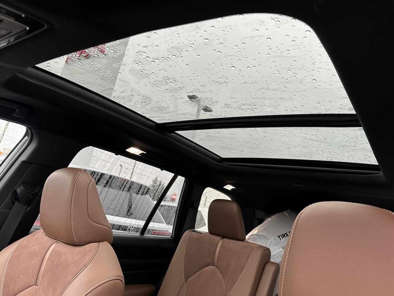 2025 Toyota Grand Highlander Hybrid Platinum MAX 4dr All-Wheel Drive Photo