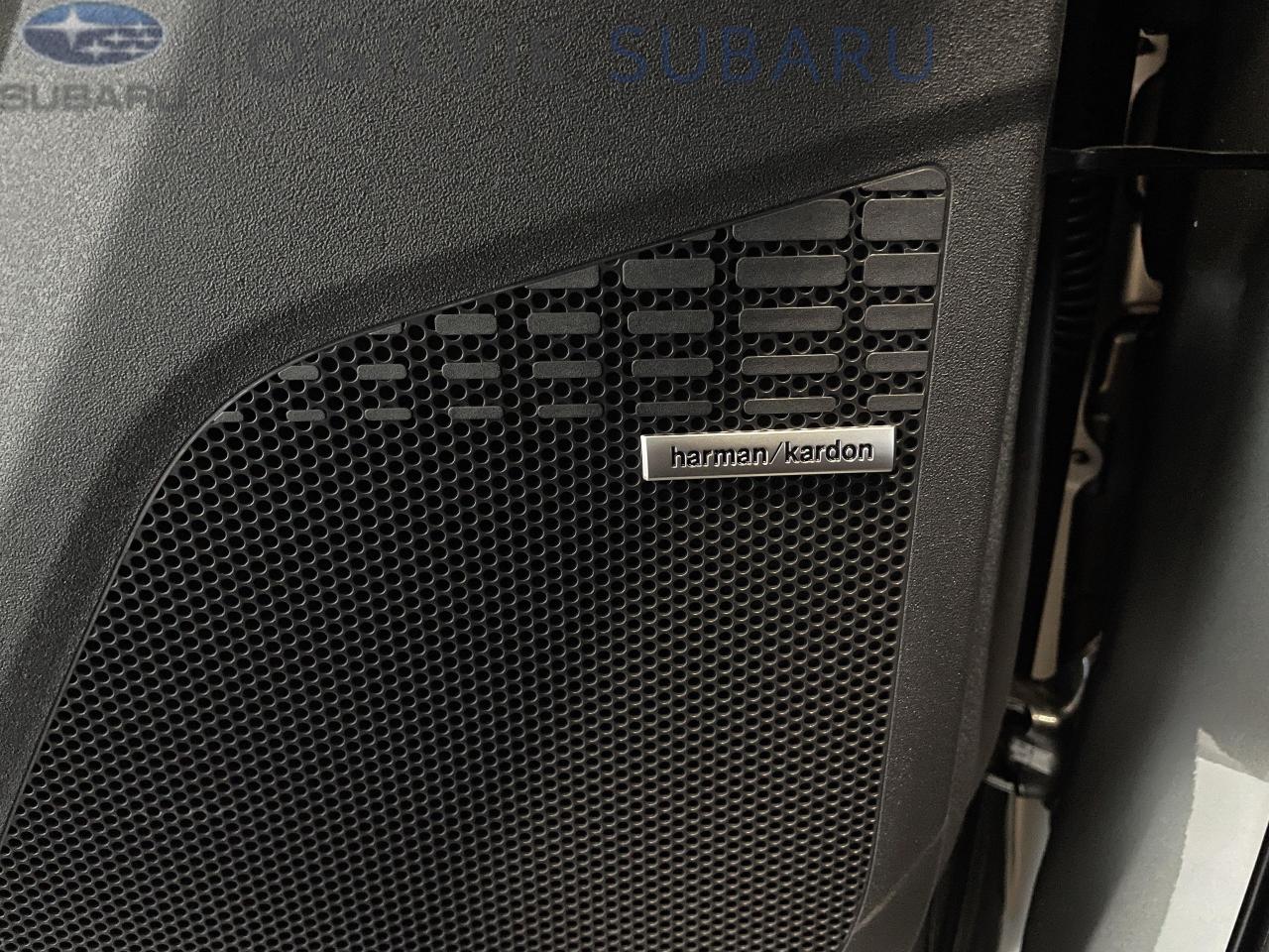 2026 Subaru Solterra Luxury w/Black Cladding 4dr All-Wheel Drive Photo