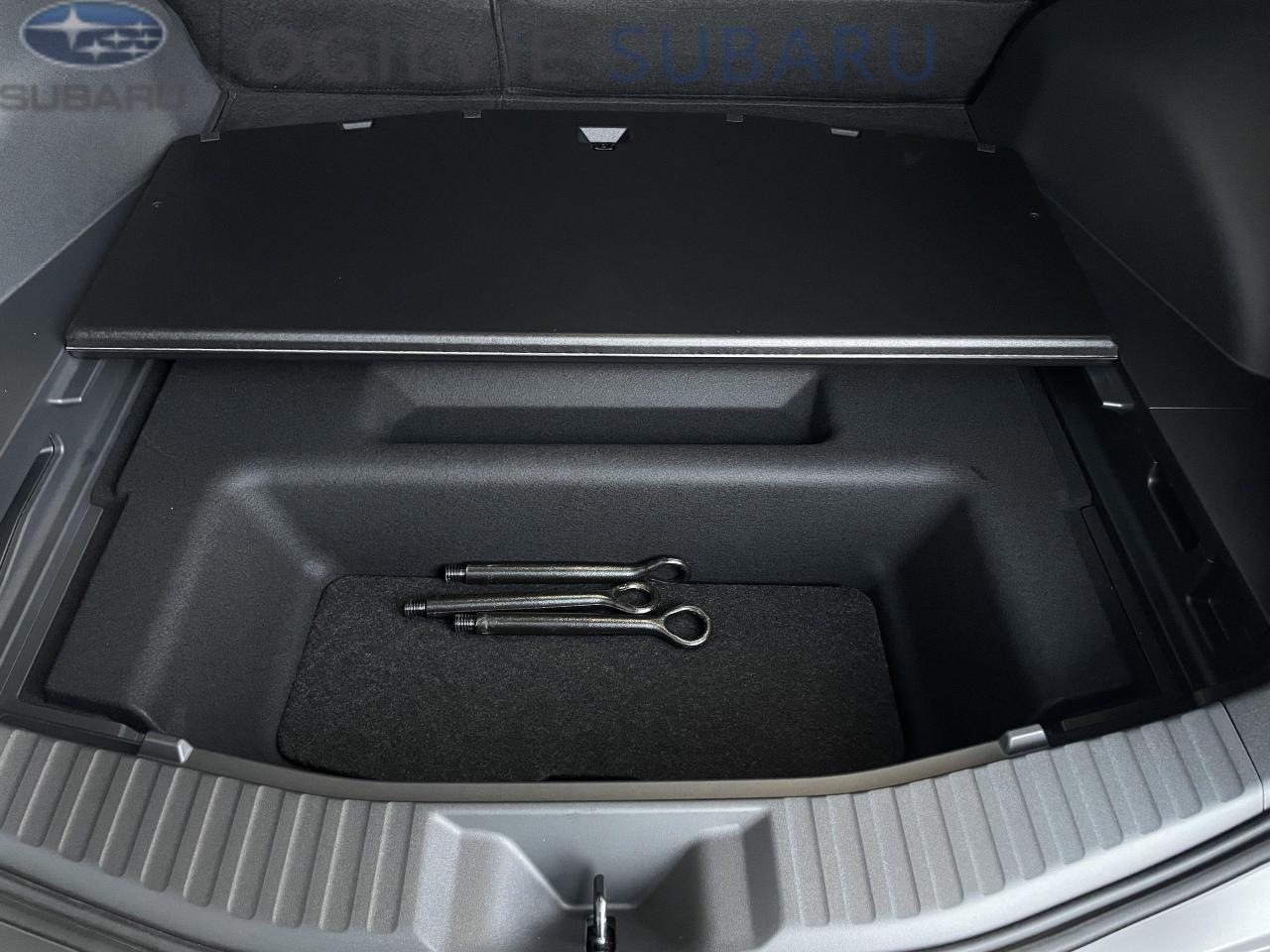 2026 Subaru Solterra Luxury w/Black Cladding 4dr All-Wheel Drive Photo