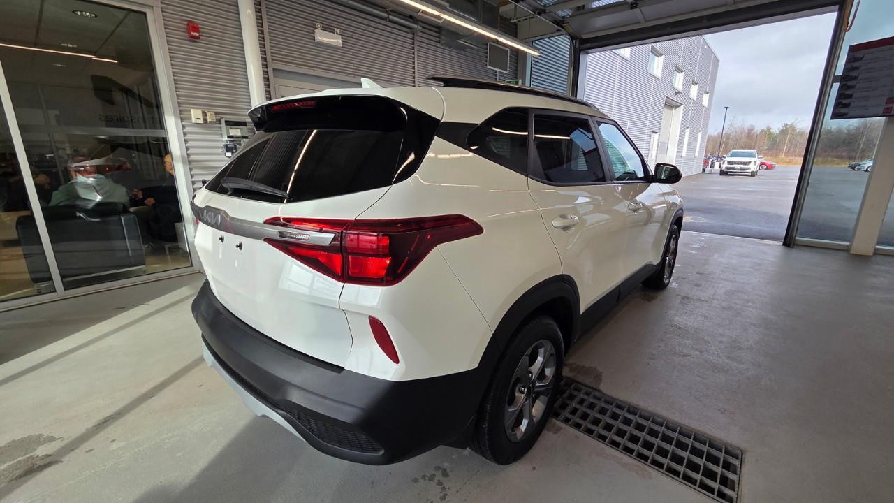 2023 Kia Seltos LX 4dr Front-Wheel Drive Photo