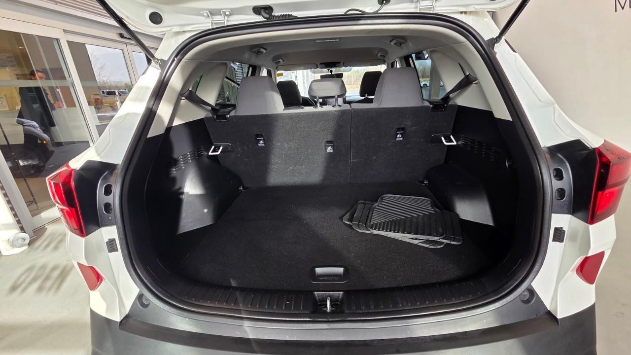 2023 Kia Seltos LX 4dr Front-Wheel Drive Photo