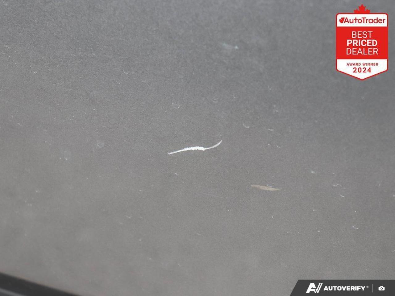 2024 Nissan Rogue SV Moonroof 4dr All-Wheel Drive Sport Utility Photo