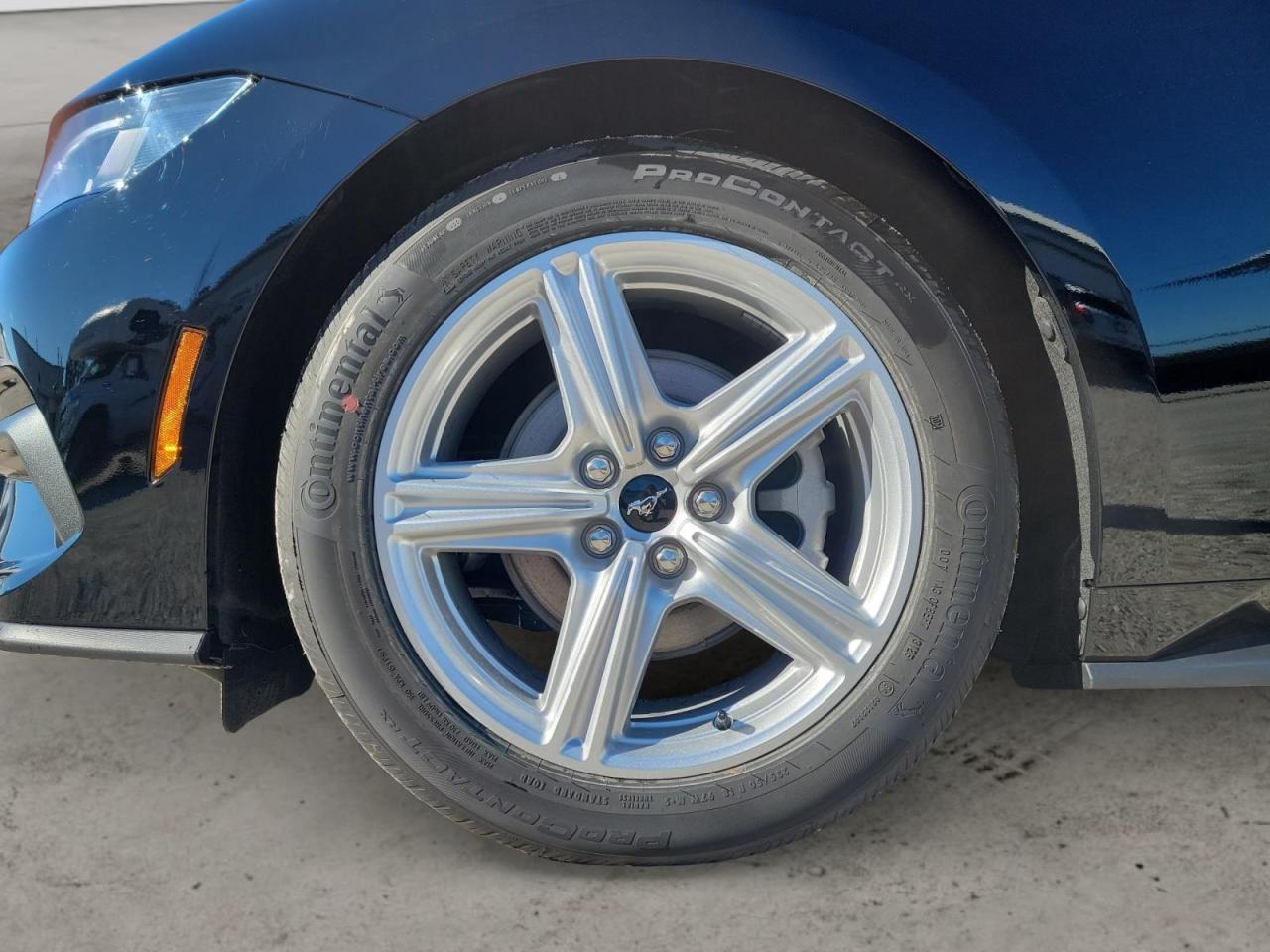 2026 Ford Mustang EcoBoost Premium 2dr Convertible Photo