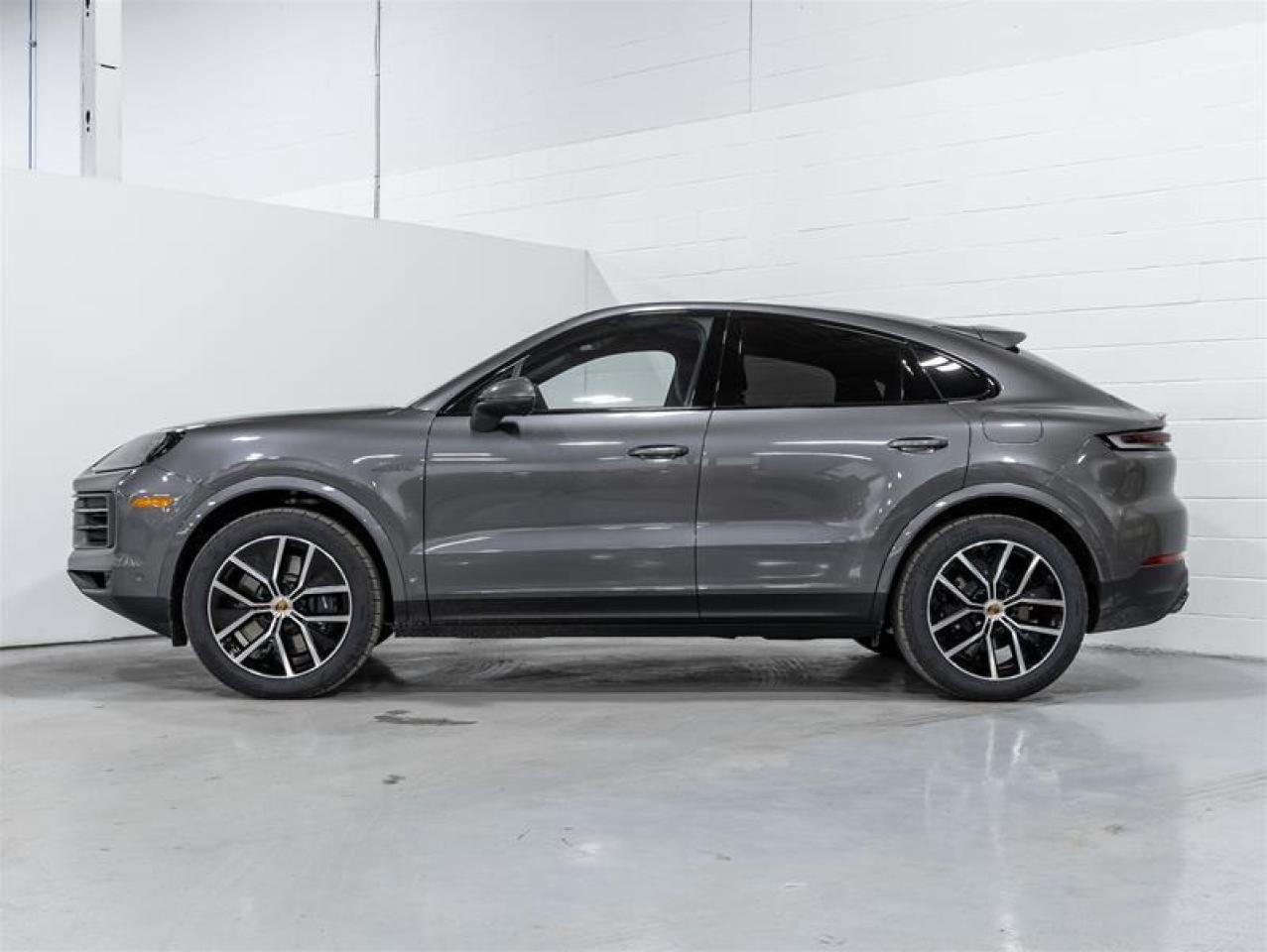 2025 Porsche Cayenne  Photo