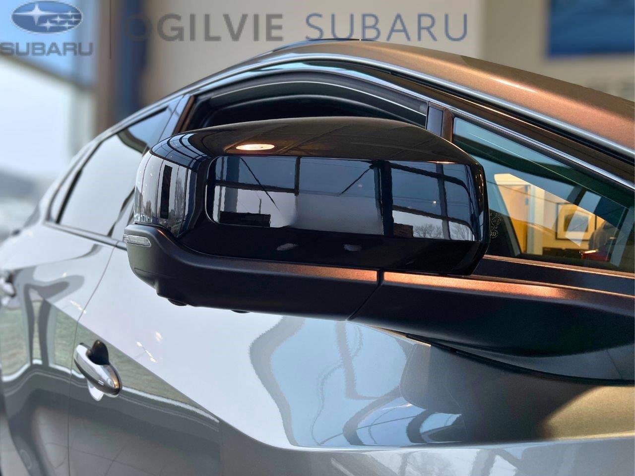 2026 Subaru Solterra Luxury 4dr All-Wheel Drive Photo