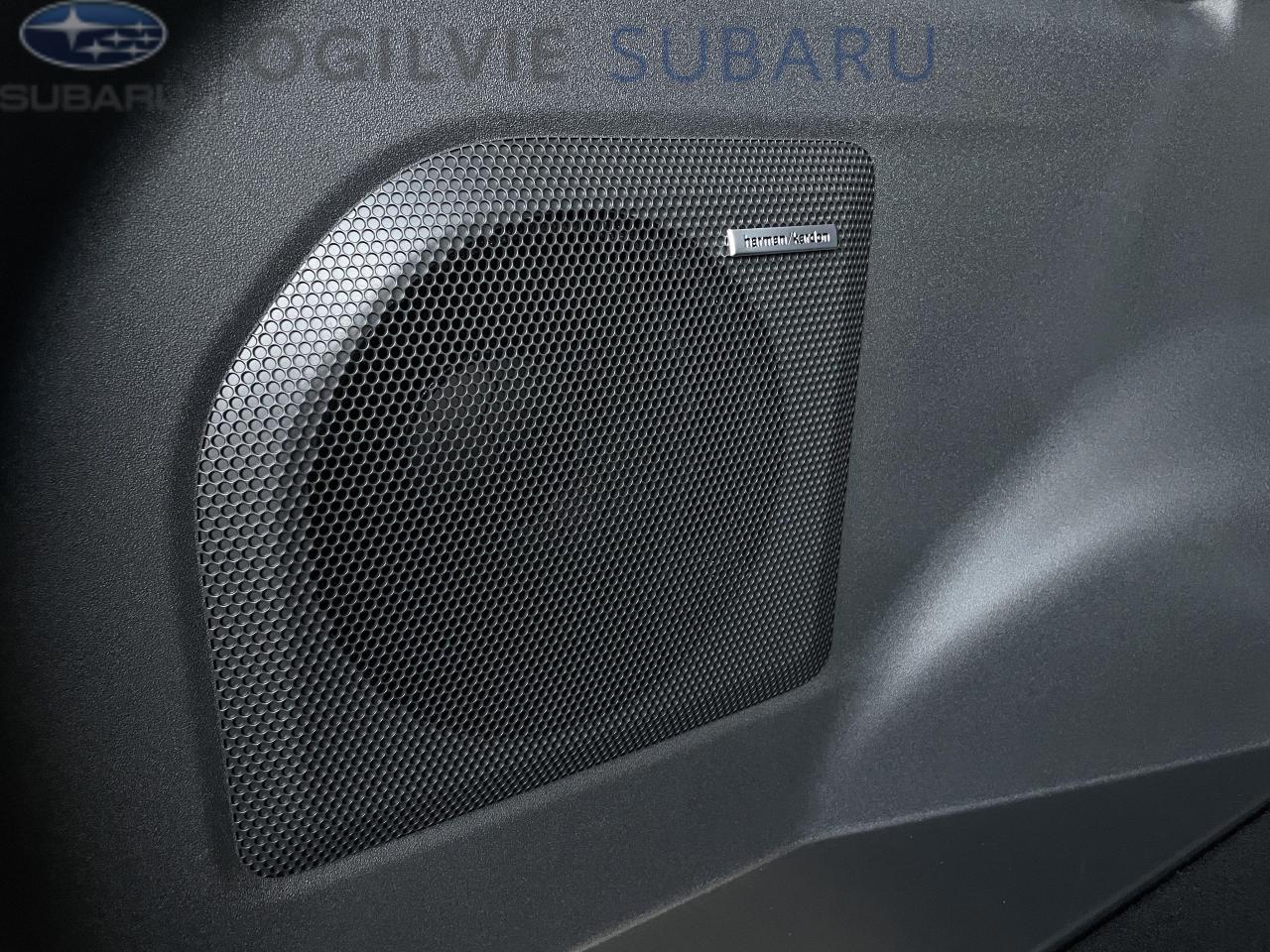 2026 Subaru Solterra Luxury 4dr All-Wheel Drive Photo