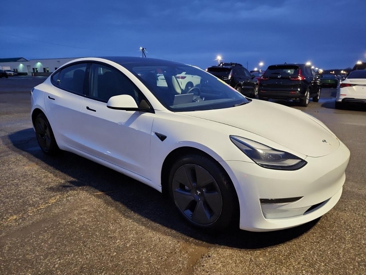2022 Tesla Model 3 LFP I OVER 100 TESLAS I EVSUPERSTORE.CA Photo3