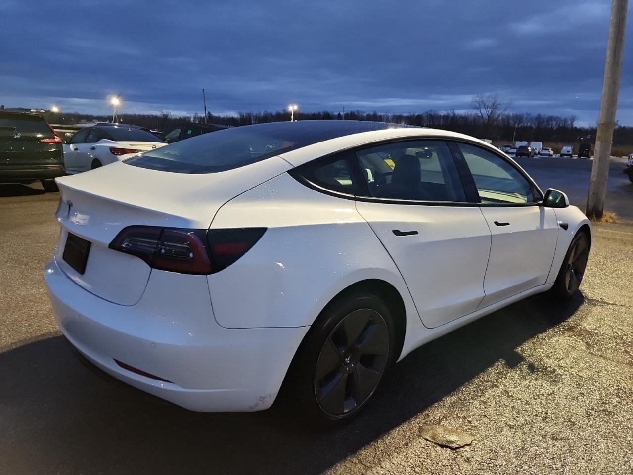 2022 Tesla Model 3 LFP I OVER 100 TESLAS I EVSUPERSTORE.CA Photo