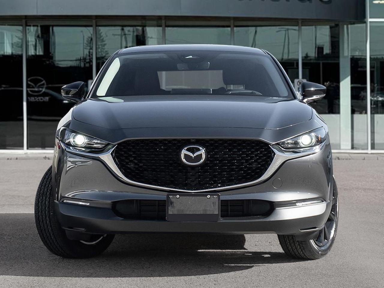 2025 Mazda CX-30 GT w/Turbo 4dr i-ACTIV All-Wheel Drive Sport Utility Photo