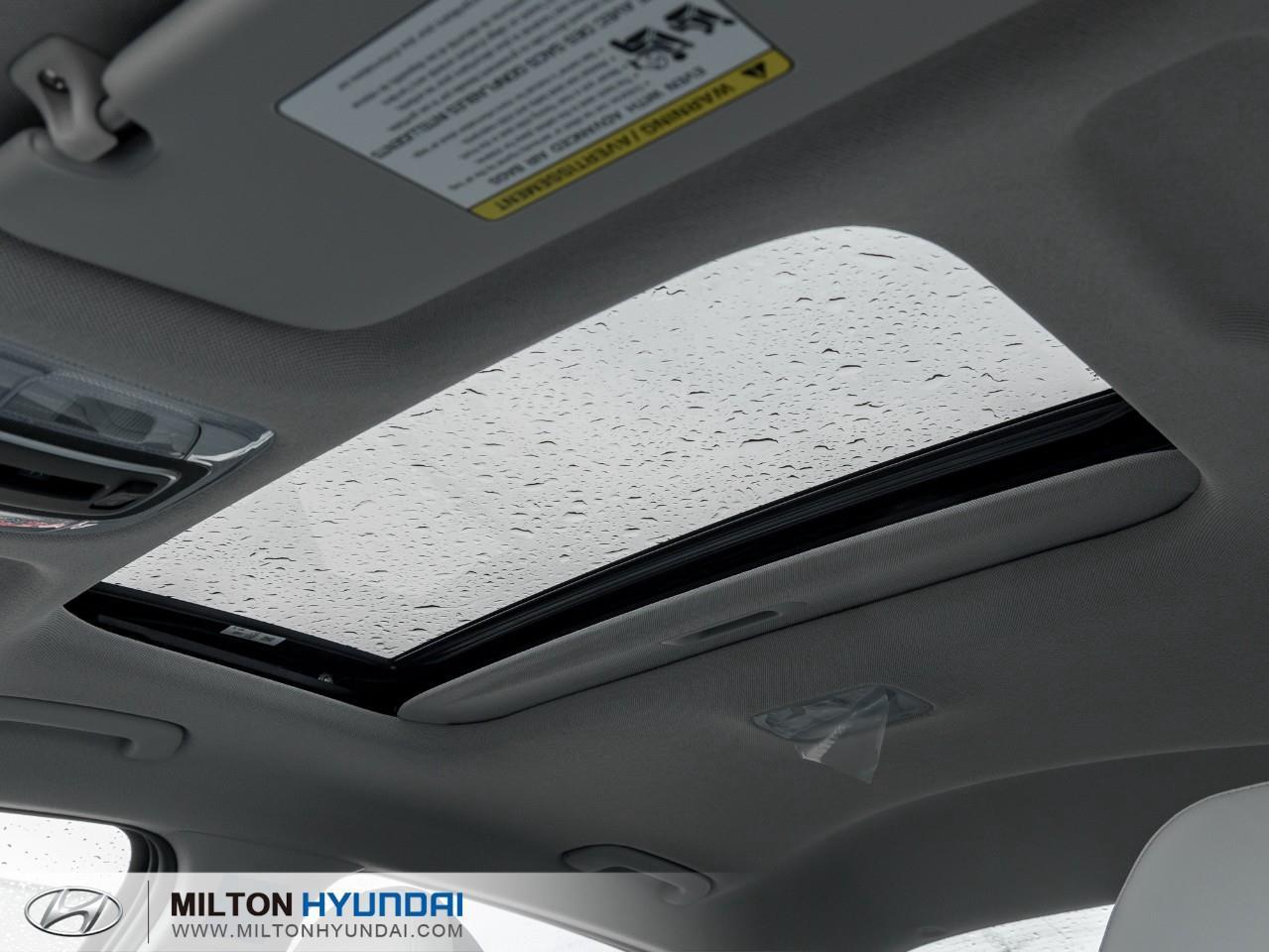 2026 Hyundai Elantra  Photo