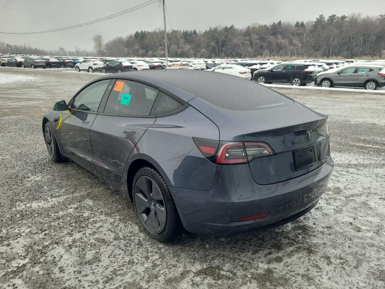 2022 Tesla Model 3 LFP I OVER 100 TESLAS I EVSUPERSTORE.CA Photo