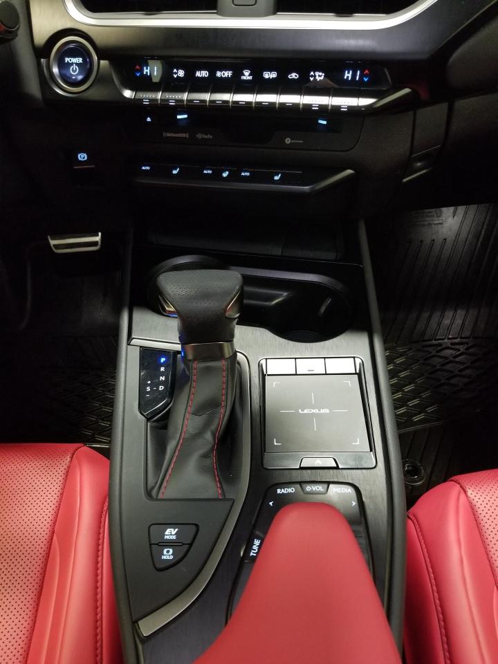 2021 Lexus UX 250H Base 4dr All-Wheel Drive Photo