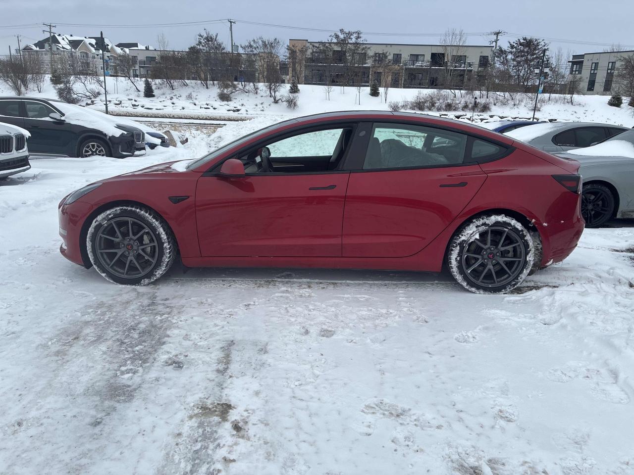 2023 Tesla Model 3 LFP I OVER 100 TESLAS I EVSUPERSTORE.CA Photo3