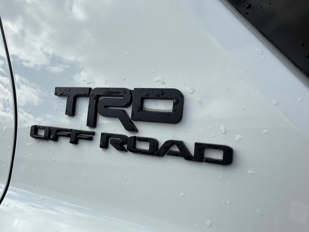 2025 Toyota 4Runner Base 4dr 4x4 Photo