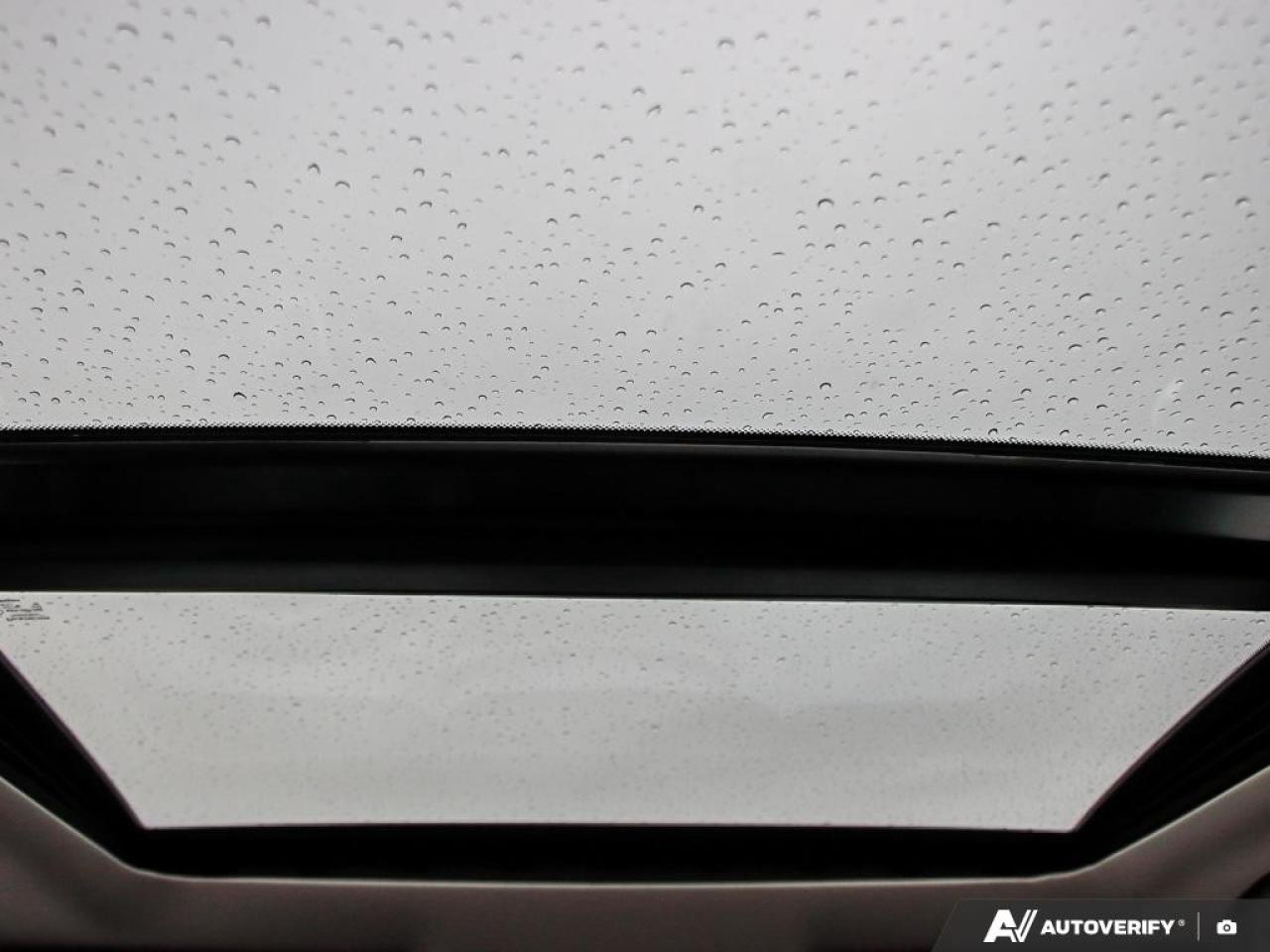 2020 Nissan Rogue AWD SL Photo