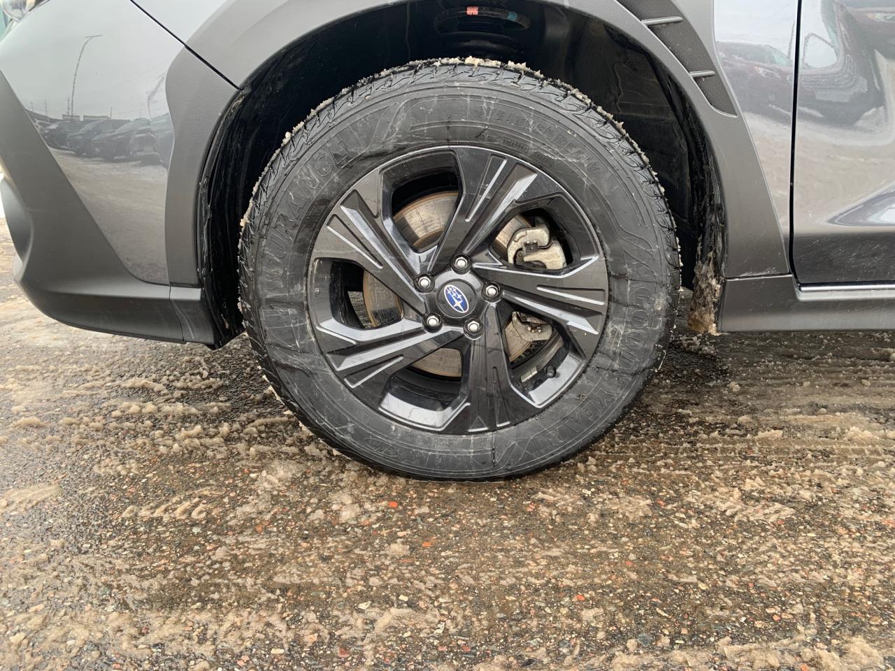 2024 Subaru Crosstrek Convenience 4dr All-Wheel Drive Photo