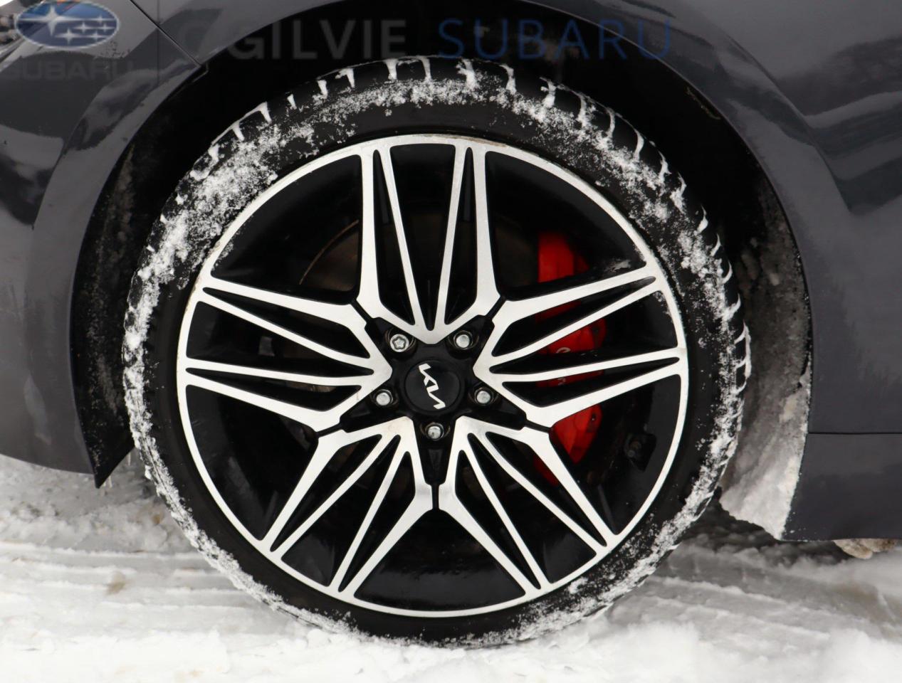 2023 Kia Stinger GT Elite - Suede Package 4dr All-Wheel Drive Sedan Photo