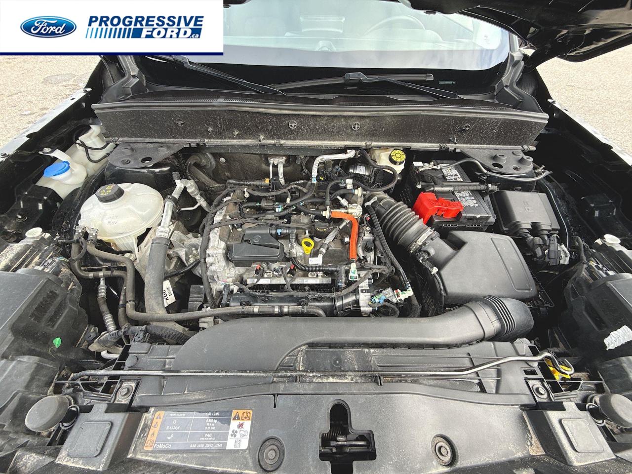 2023 Ford Bronco Sport Big Bend 4dr 4x4 Photo