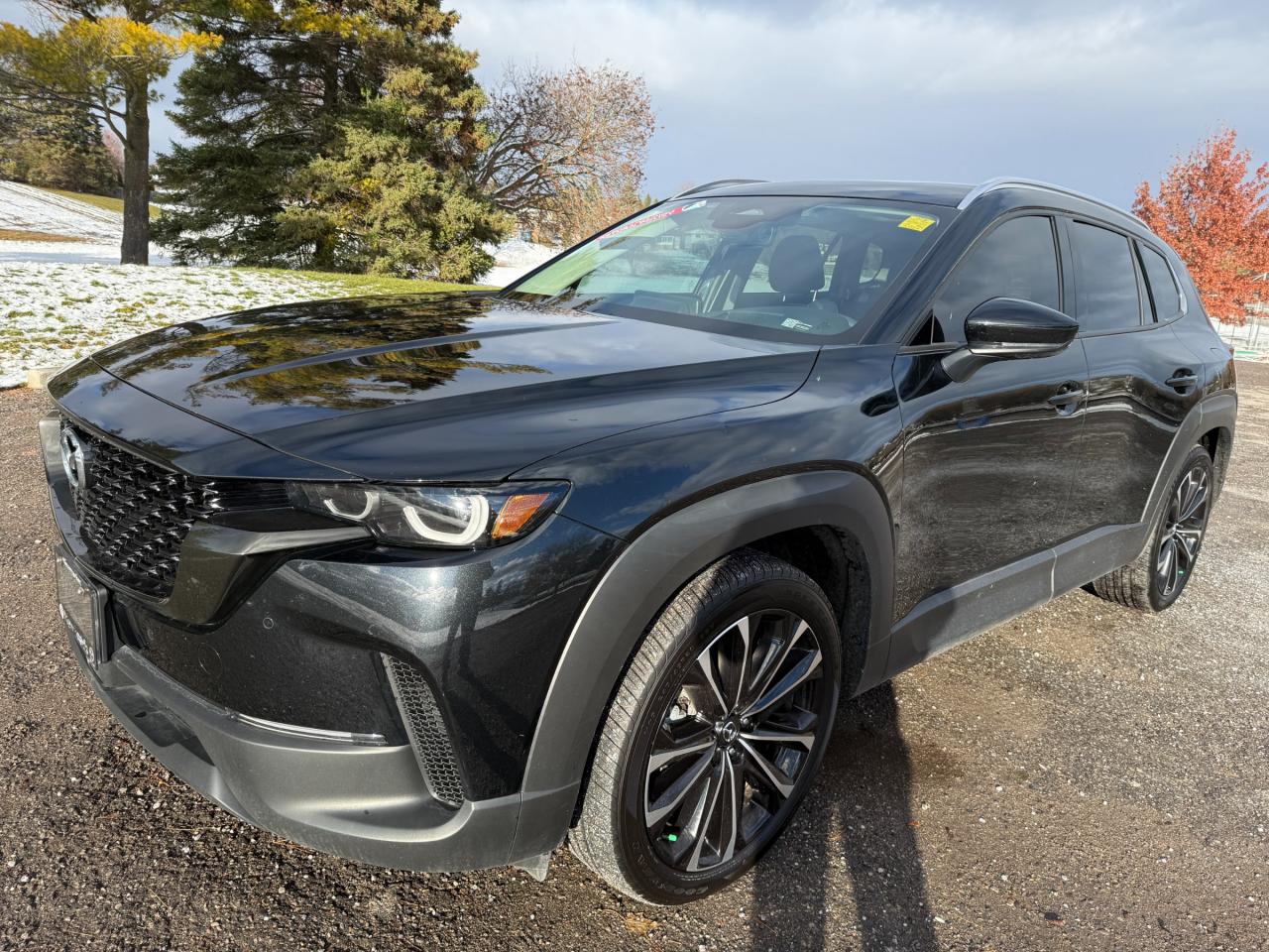 2025 Mazda CX-50 GT 4dr All-Wheel Drive Sport Utility Photo0