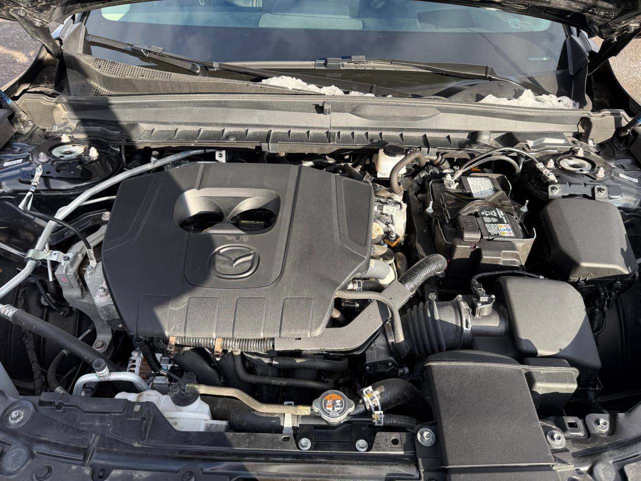 2025 Mazda CX-50 GT 4dr All-Wheel Drive Sport Utility Photo