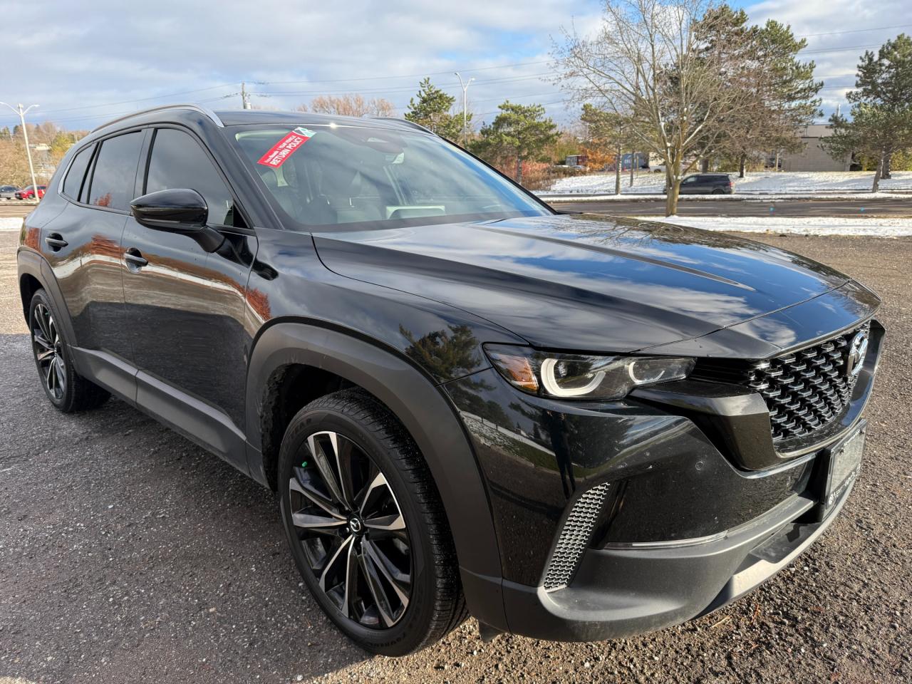 2025 Mazda CX-50 GT 4dr All-Wheel Drive Sport Utility Photo