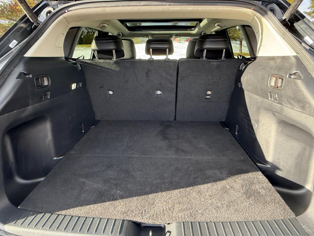 2025 Mazda CX-50 GT 4dr All-Wheel Drive Sport Utility Photo