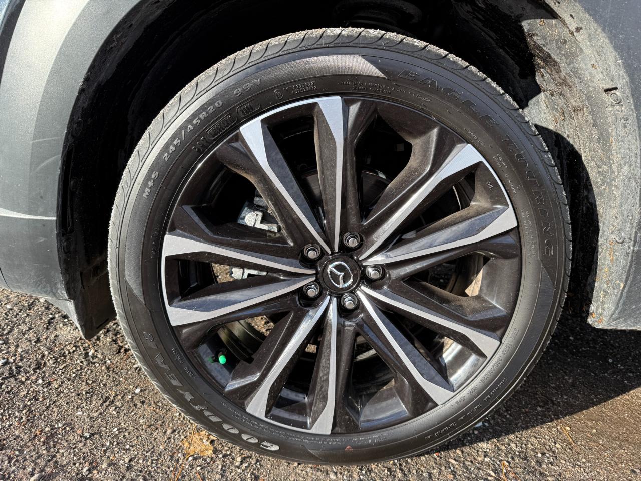 2025 Mazda CX-50 GT 4dr All-Wheel Drive Sport Utility Photo