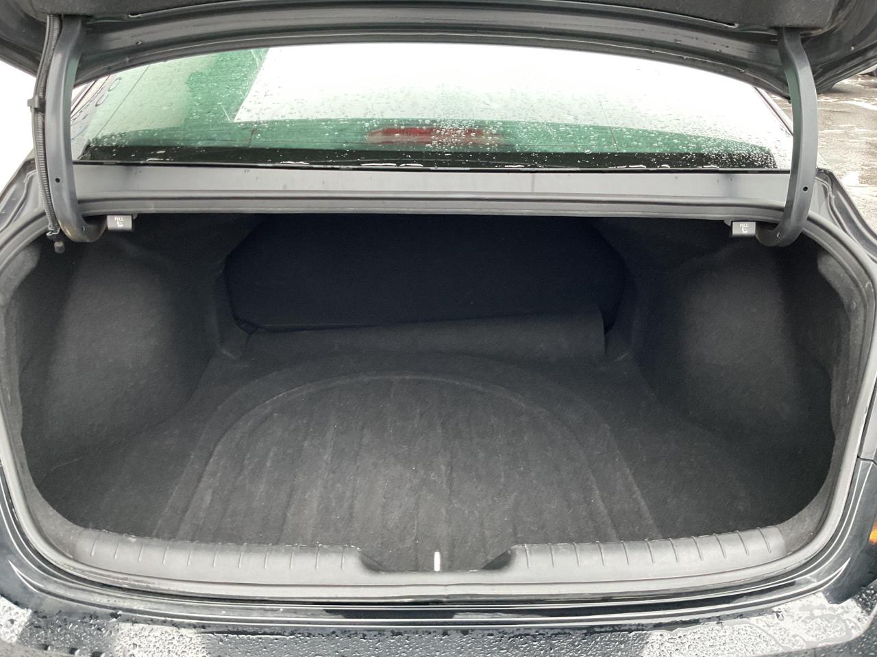 2024 Hyundai Elantra  Photo